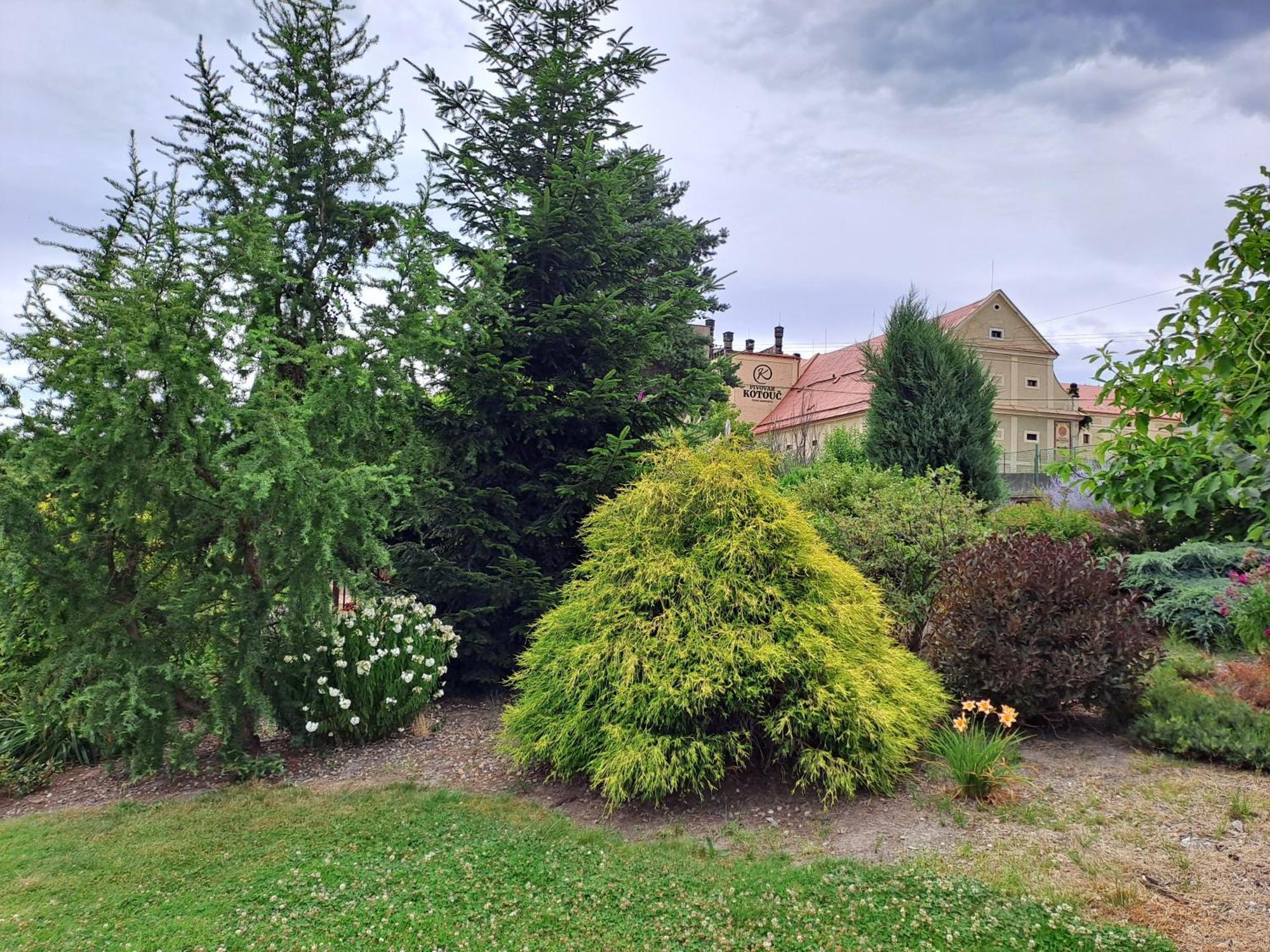 Kamelie Hotell Česká Kamenice Exteriör bild